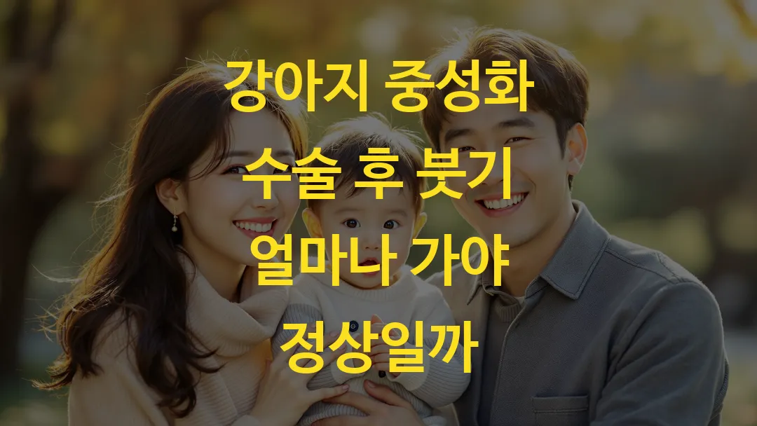 강아지 중성화 수술 후 붓기 얼마나 가야 정상일까