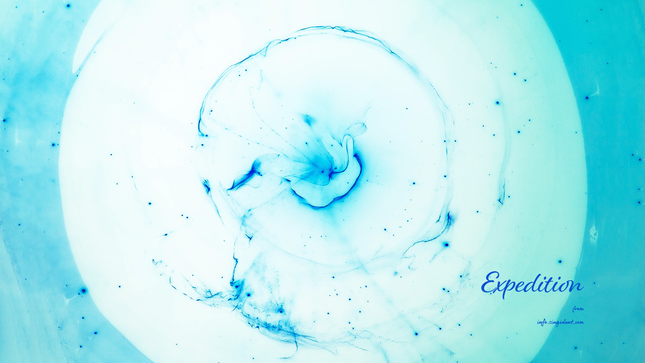 03 투명 해파리 C - Expedition 여름배경화면