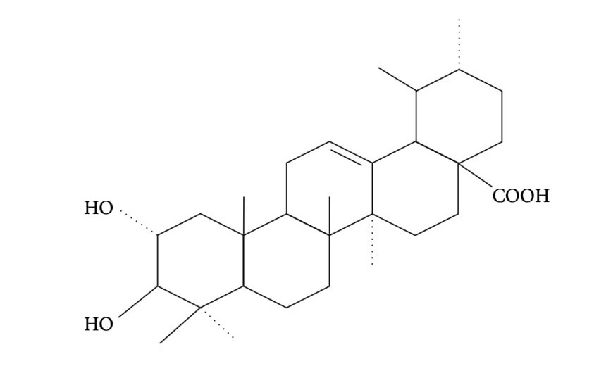 바나바 잎 차의 핵심 성분인 코로솔산