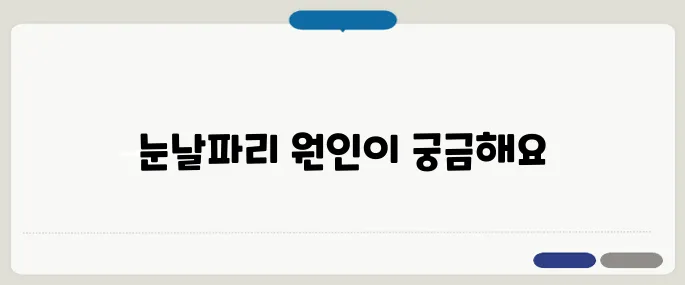 눈에 날파리 현상 생기는 이유 비문증일 가능성이 높아요