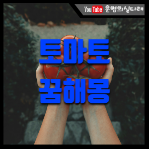 썸네일사진