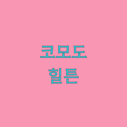 경주 호텔 격전지 코모도호텔 경주 v