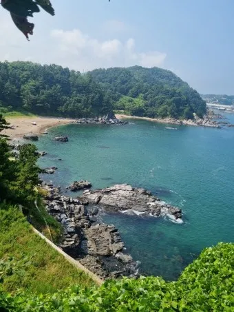 삼척 가볼만한곳 베스트10 여행 코스 맛집_22