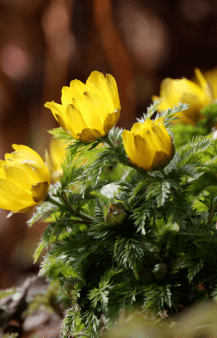 천리포수목원 가든하우스 