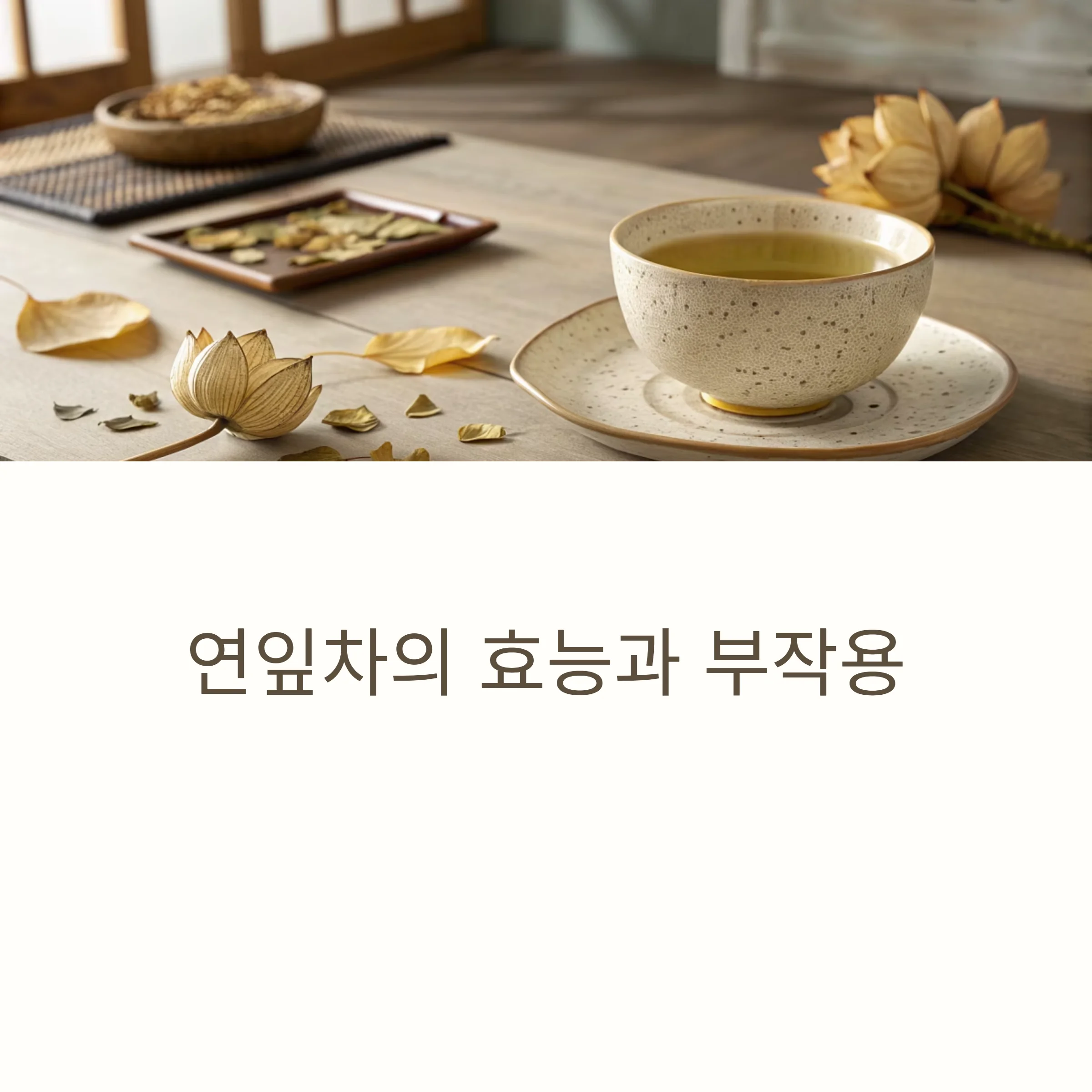 연잎차-효능-부작용