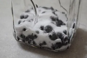 아로니아 효소만드는법과 효능효과 부작용 꽃 엑기스 활용법_15