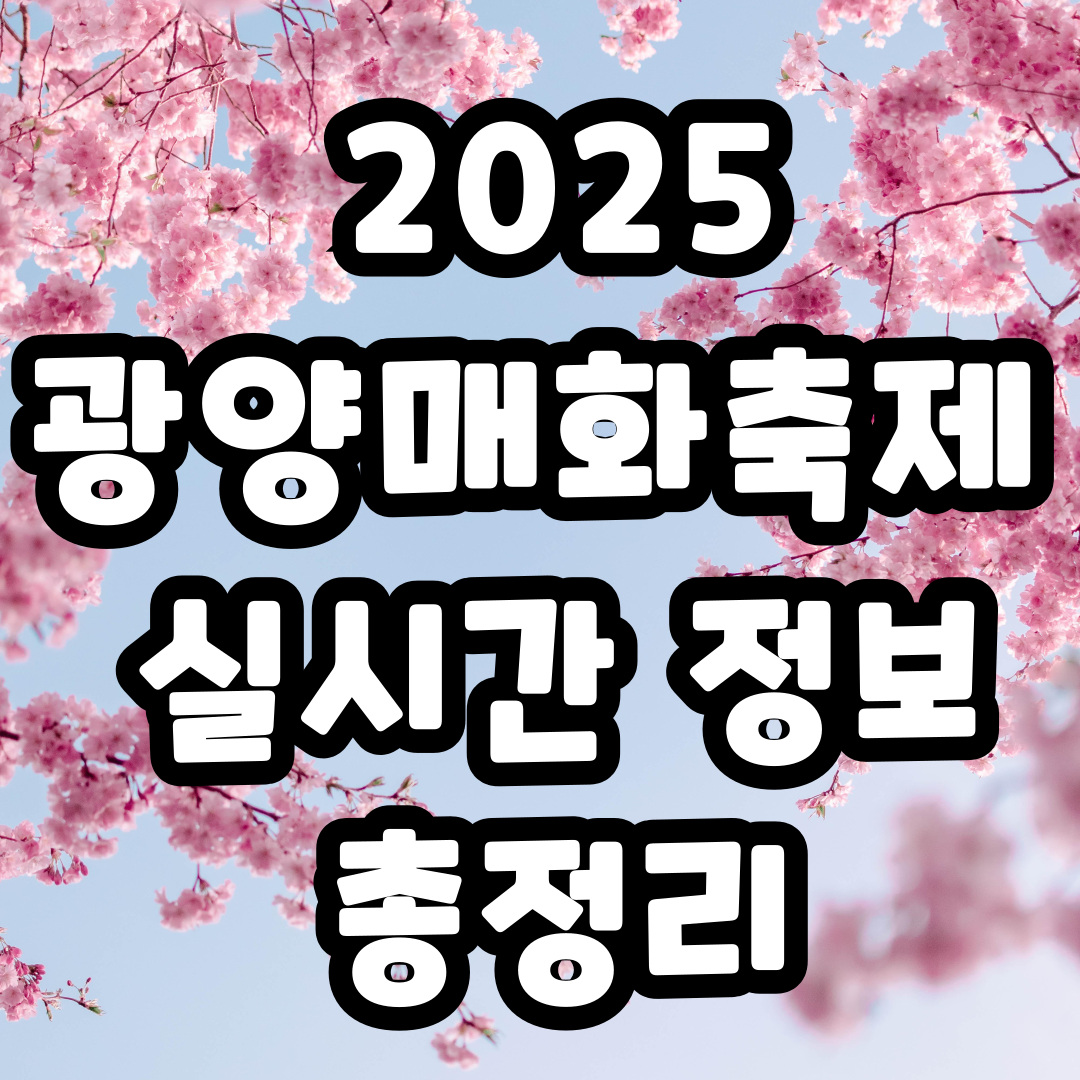 2025 광양매화축제 개화상황 주차장 실시간 입장료