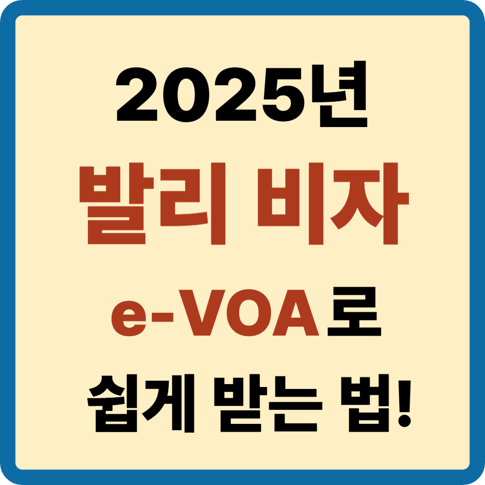발리 비자발급