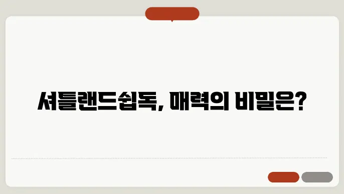 셔틀랜드쉽독의 건강 관리