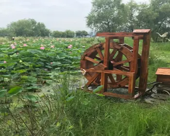 양평 세미원 연꽃축제_6