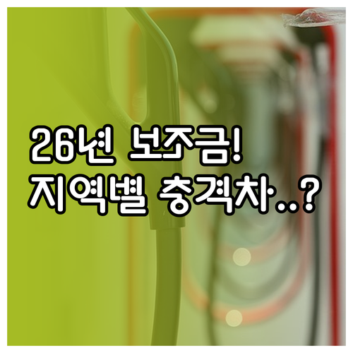 2026년 지역별 테슬라 모델 3 보..