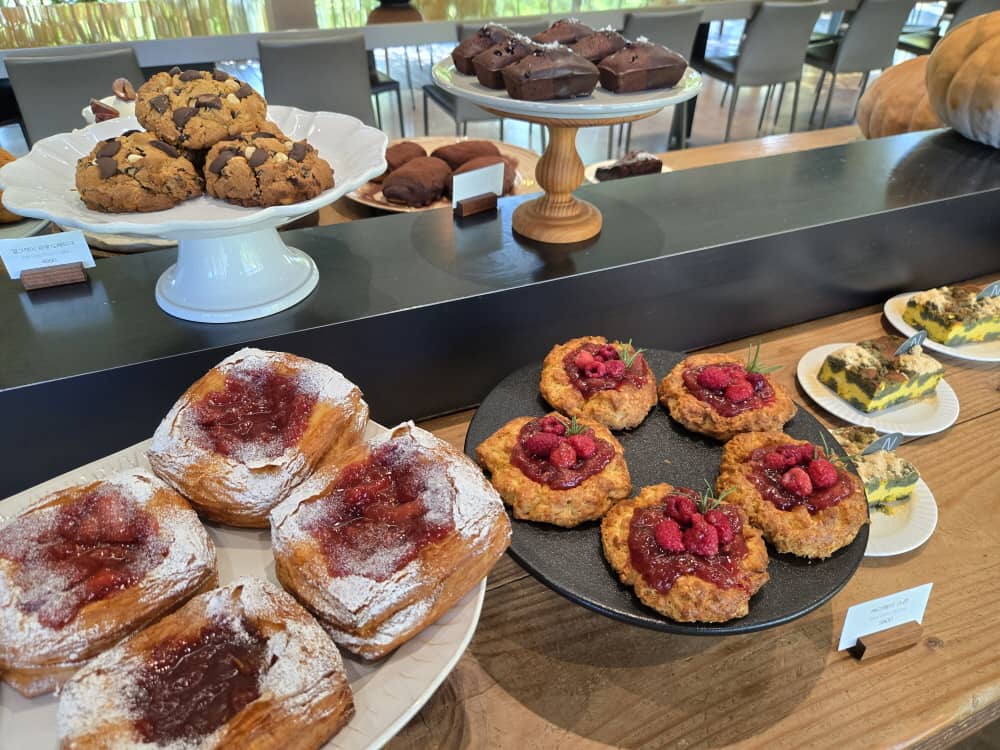 가평 나무아래오후