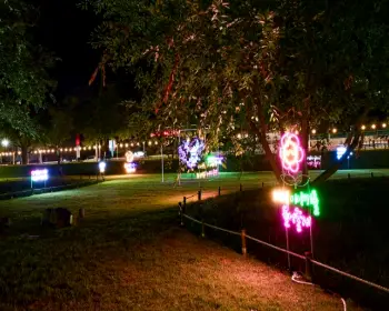 성주 참외축제_27