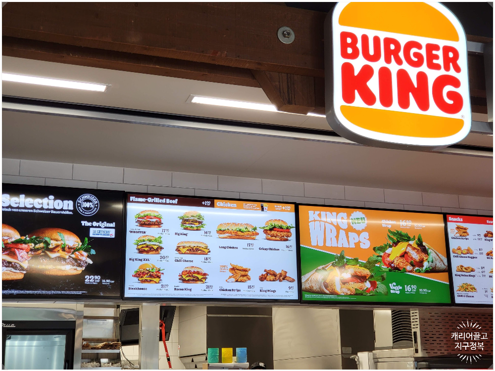 스위스 렌터카 유의사항