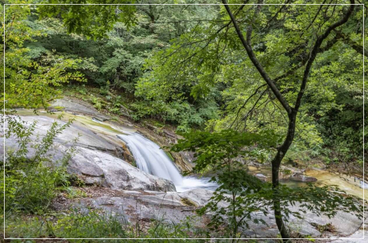 인제 가볼만한곳 베스트10 방태산 자연휴양림