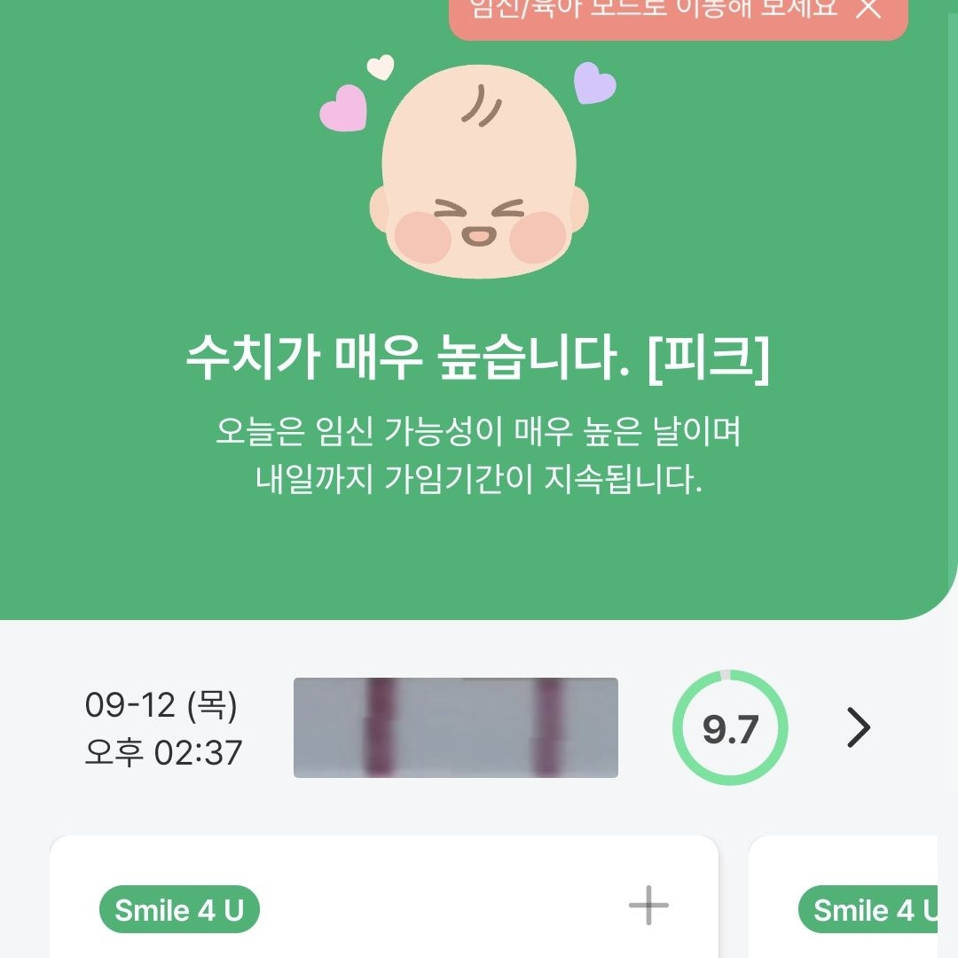 배란테스트기