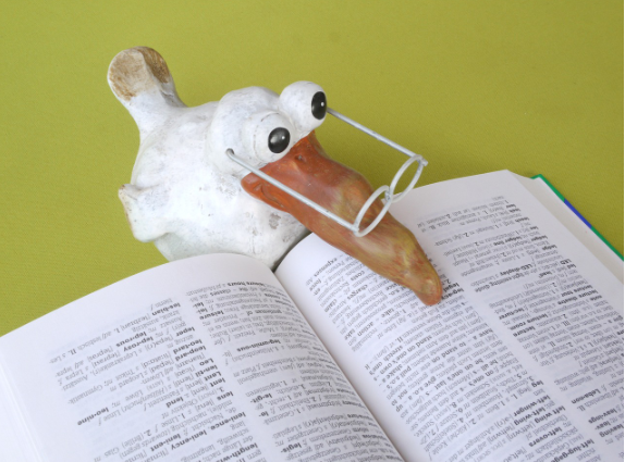 외국어 공부가 안 되는 진짜 이유 3가지 – 단순히 ‘의지’ 부족은 아니다