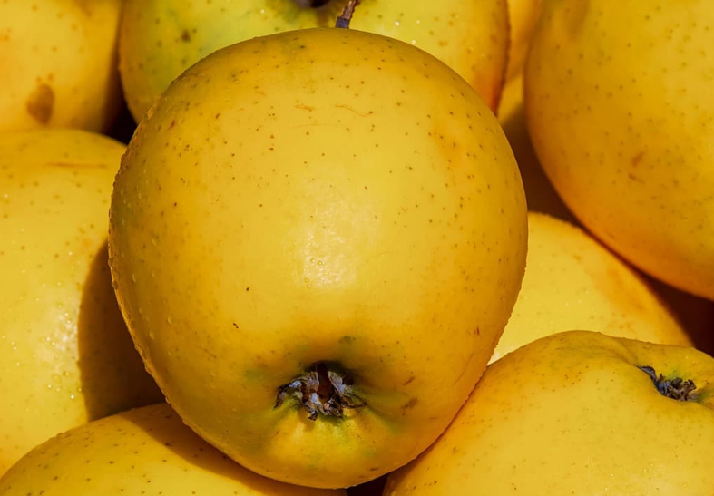 폐식물성 플라스틱 재활용을 위한 로봇 분류 기술