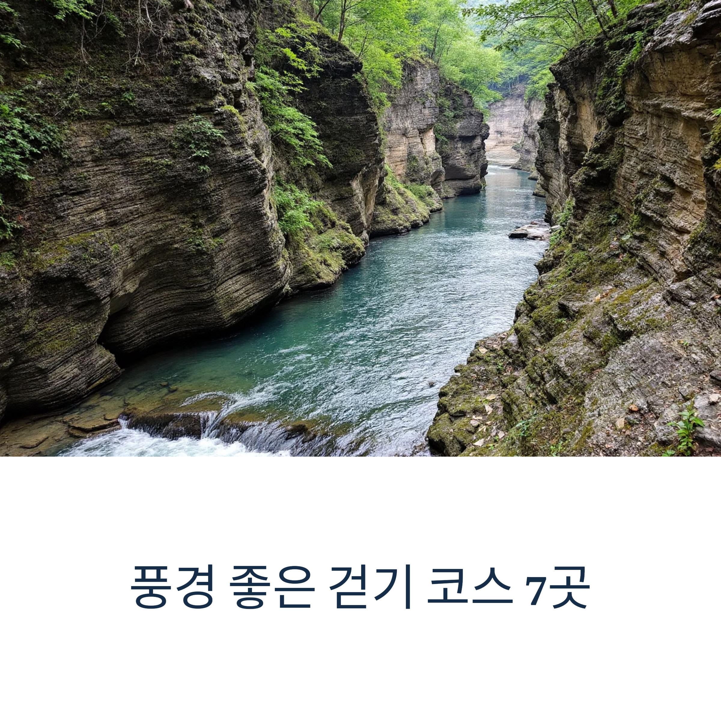 강원도 동강 전경 이미지