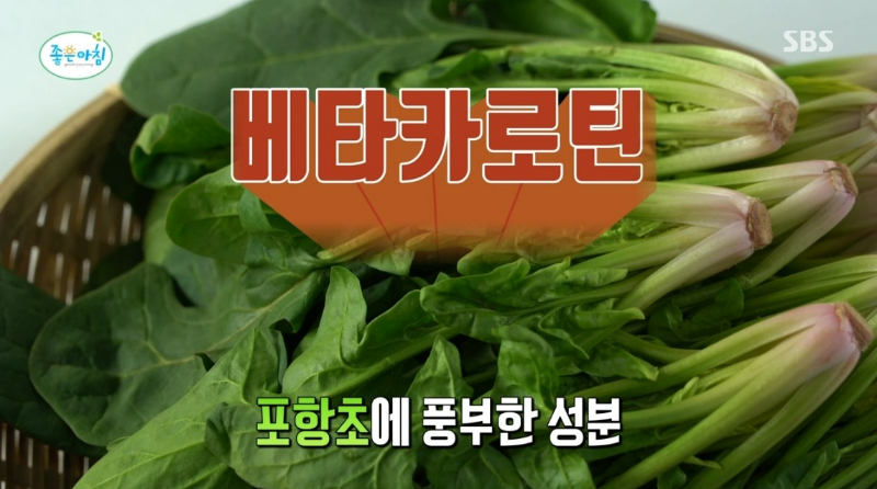 활성 산소 독소 배출 해독 팥 포항초