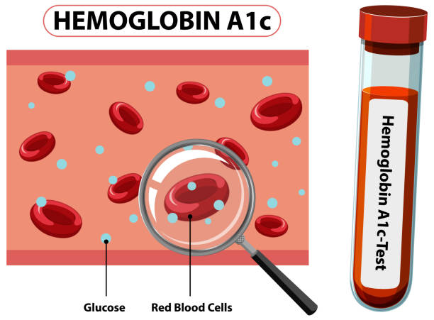 당화혈색소 정상수치 낮추는 방법