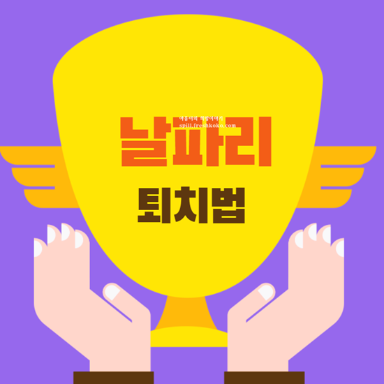날파리 퇴치법