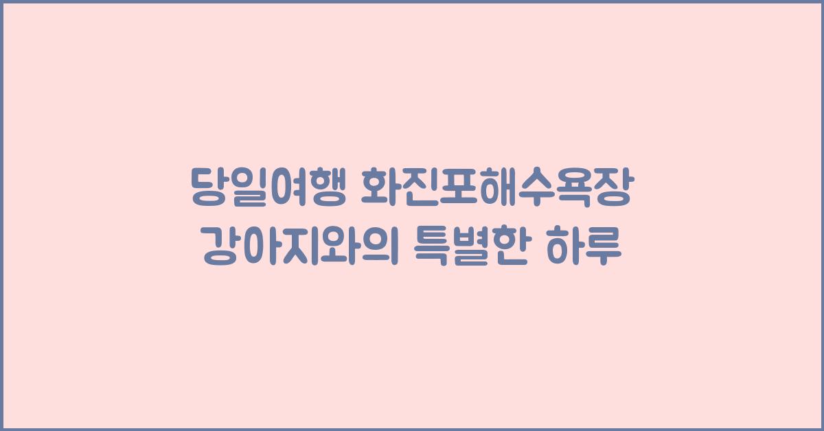 당일여행 화진포해수욕장 강아지
