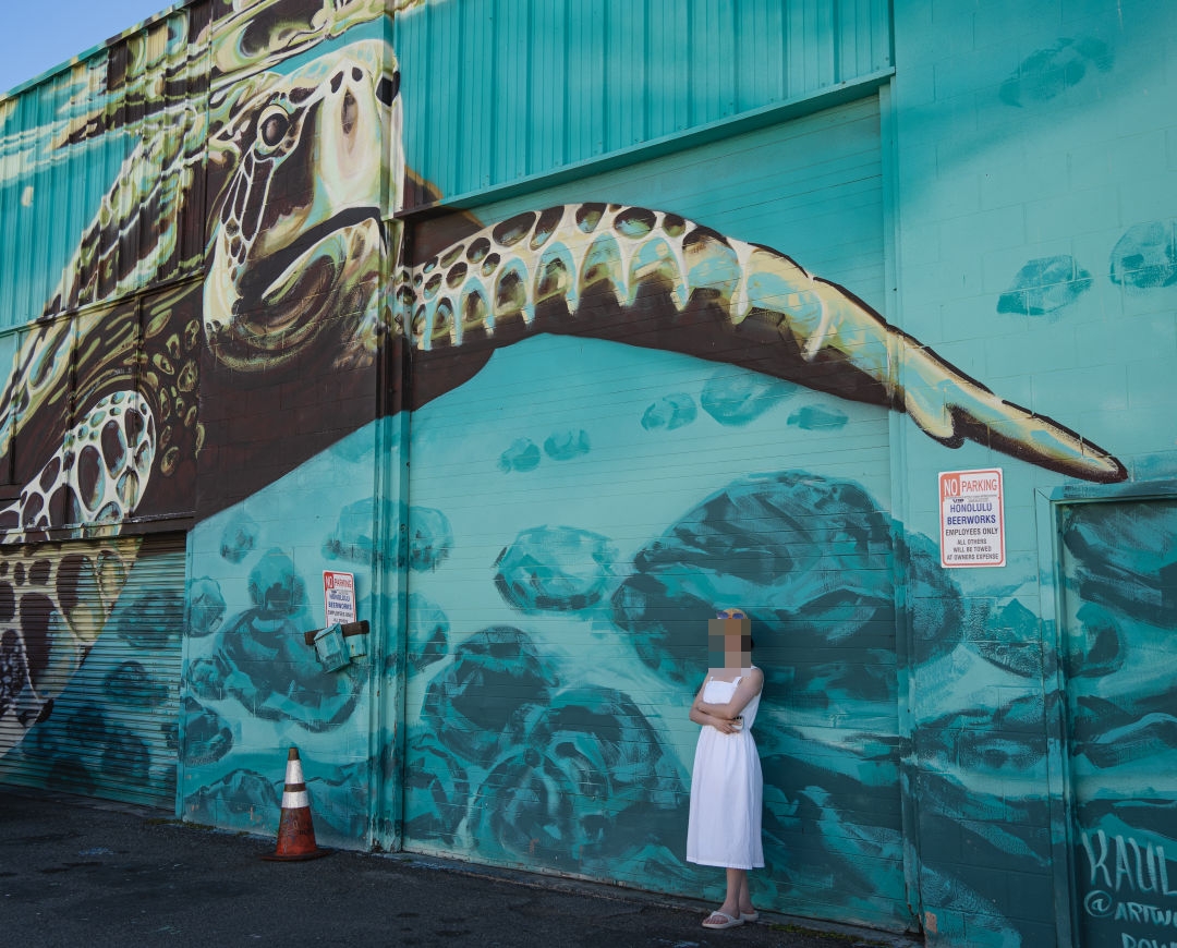 카카아코 벽화거리 거북이