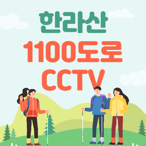 한라산 1100도로 CCTV