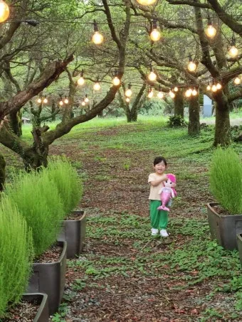 제주 아이와 함께 가기 좋은 체험형 여행지 추천_21