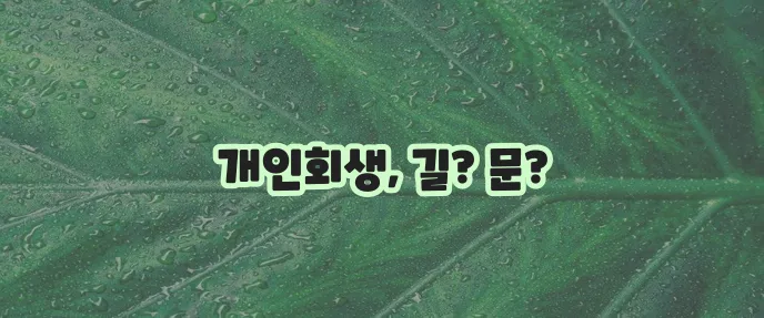 개인회생 신청 자격 조회 절차 기간 제도 의미까지 꼼꼼히 확인하세요!