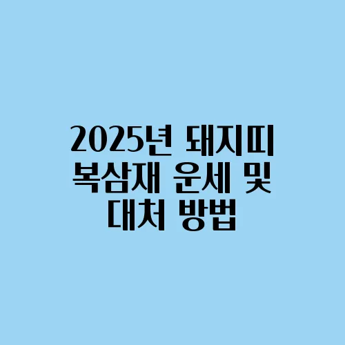 2025년 돼지띠 복삼재 운세 및 대처 방법