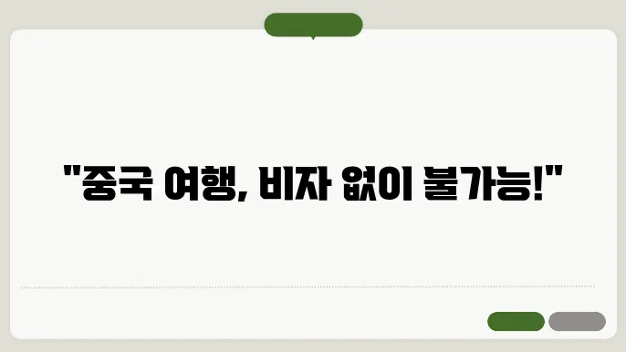 중국 관광 비자 신청