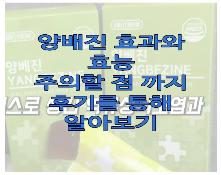 양베진에 관한 글 보러 가기 링크 사진