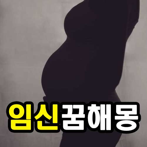 임신 상황별 꿈해몽