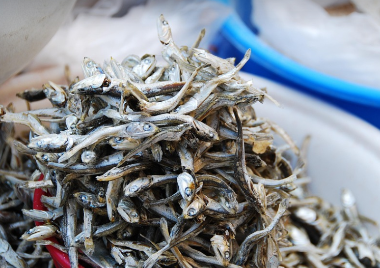 천연조미료멸치