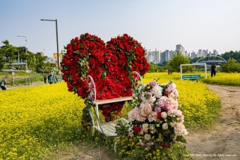 서울 장미축제