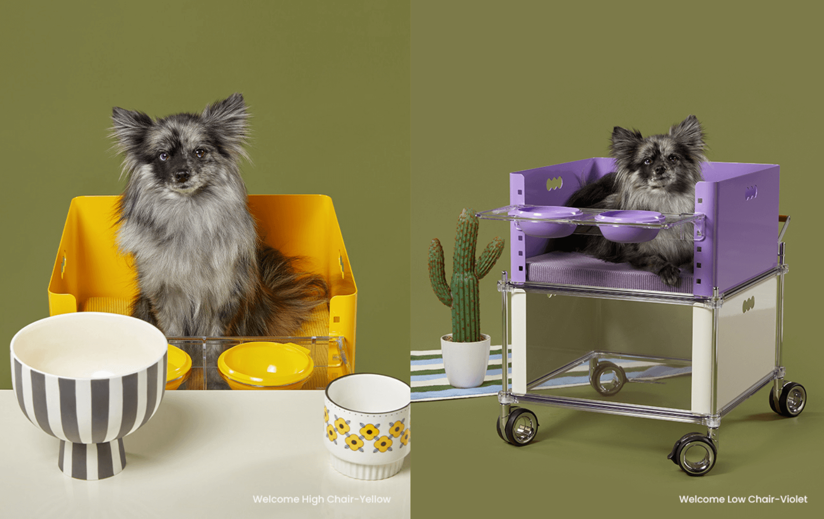 반려견 전용식탁