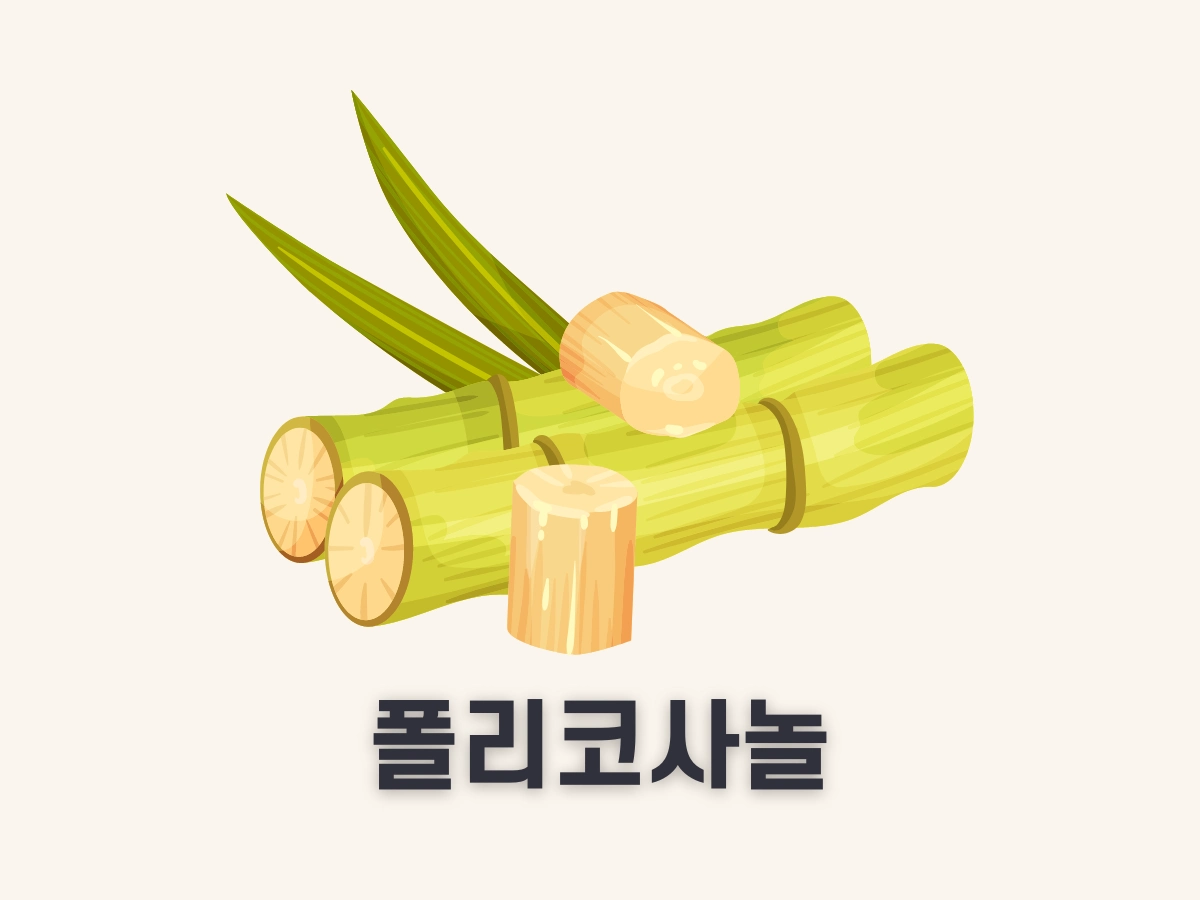 폴리코사놀