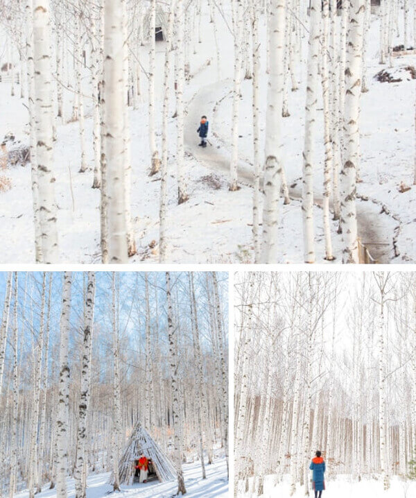 국내 겨울 여행지 베스트 10