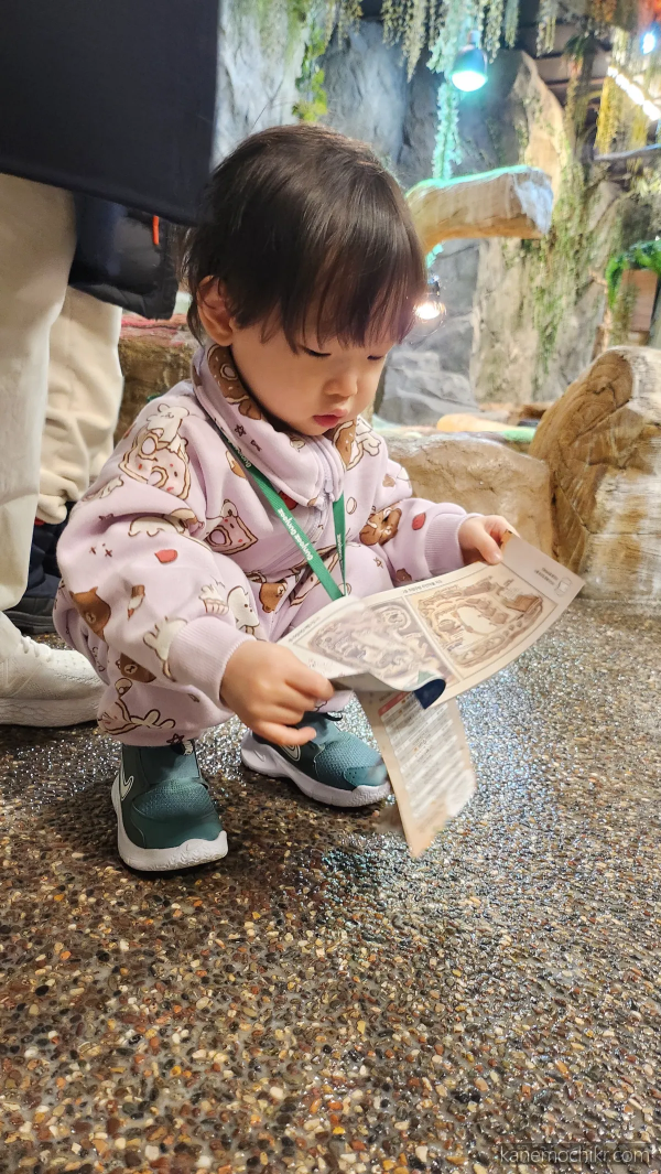 주렁주렁-먹이주기체험