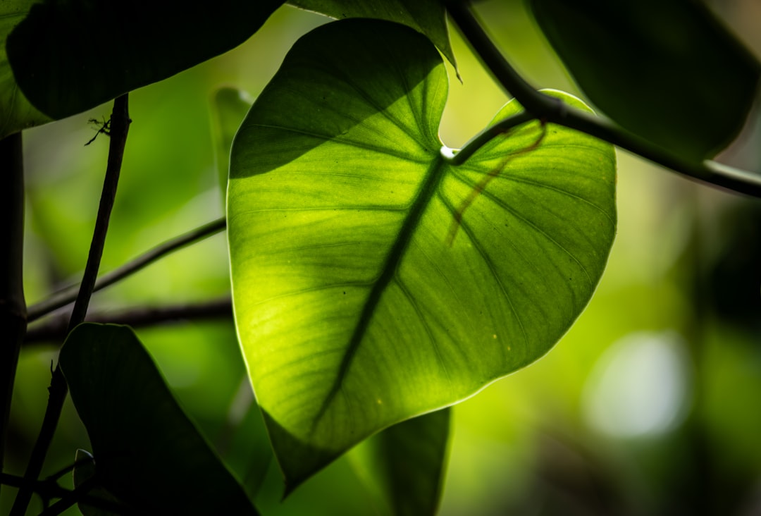 Environmental