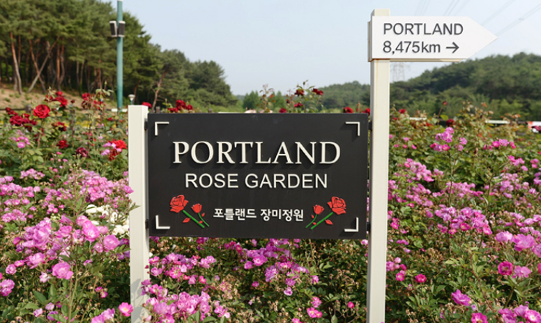 2024 울산대공원 장미축제 장미정원