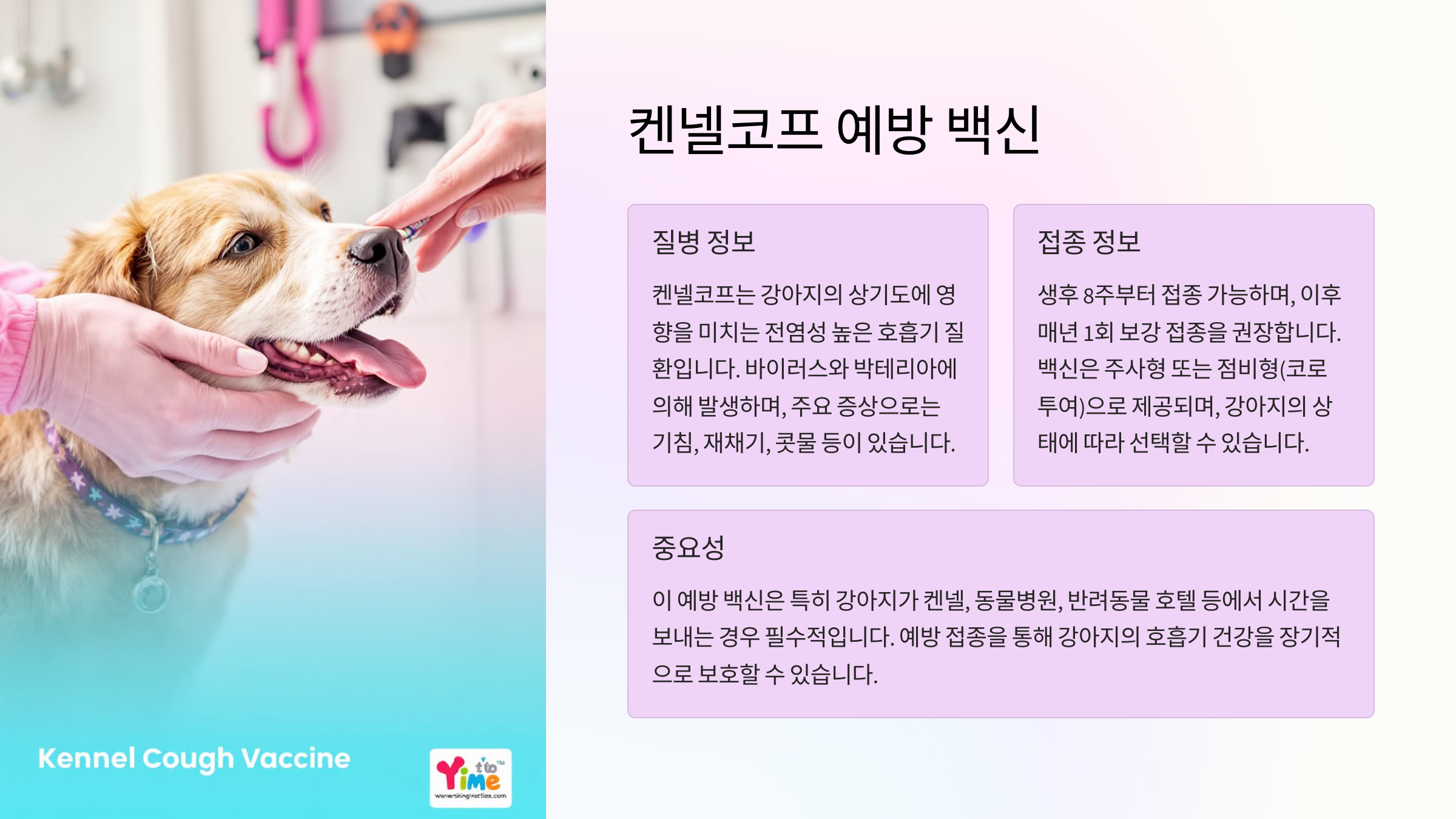켄넬코프 예방 백신