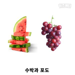 통풍에 해로운 음식