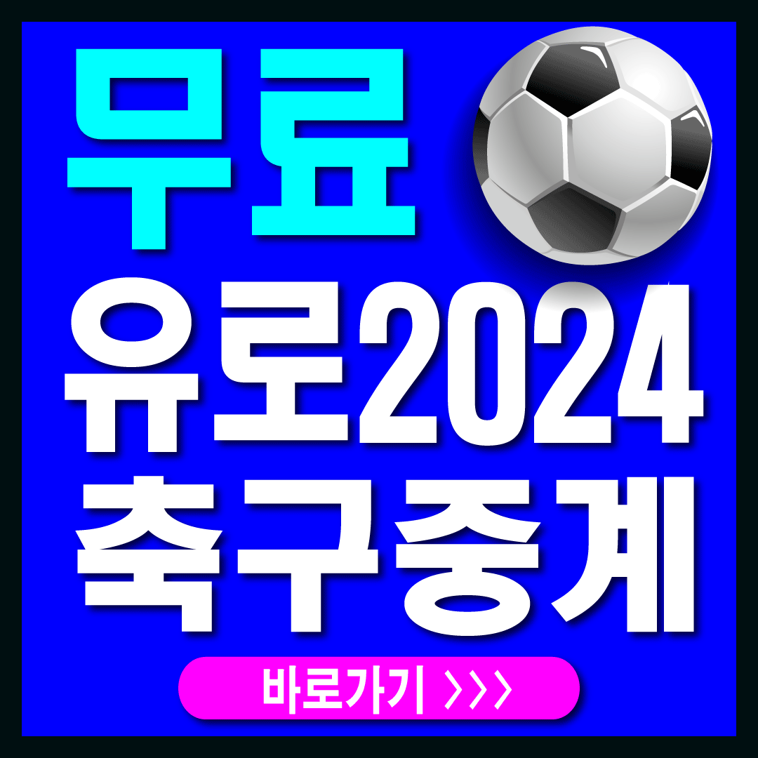 유로2024 결승경기 썸네일