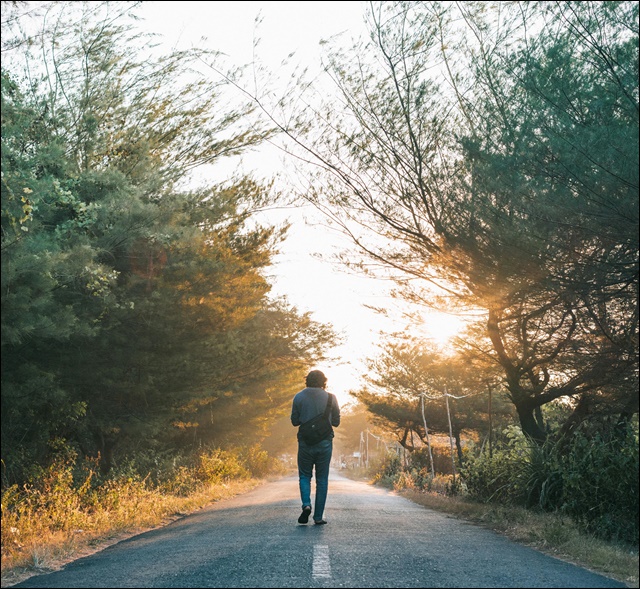 반려견 열사병 예방 가이드(+증상, 응급처치 총정리)