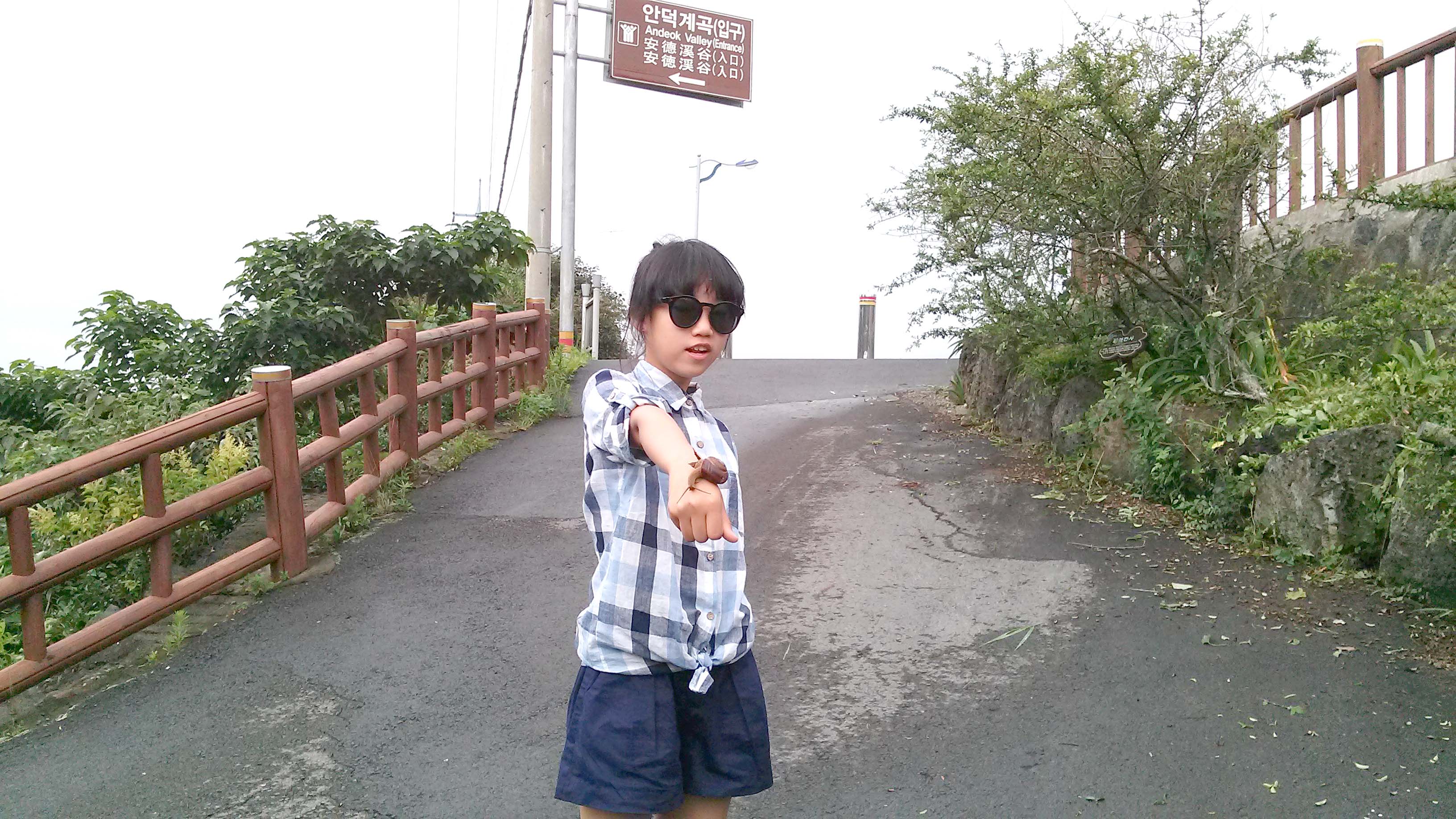 안덕계곡(Andeok Valley)
