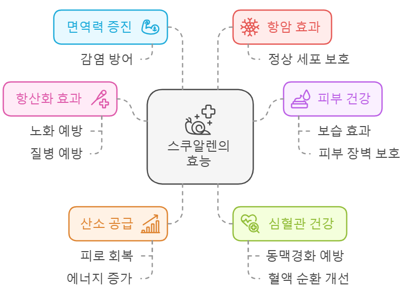 스쿠알렌 효능