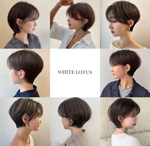 화이트로터스 백연